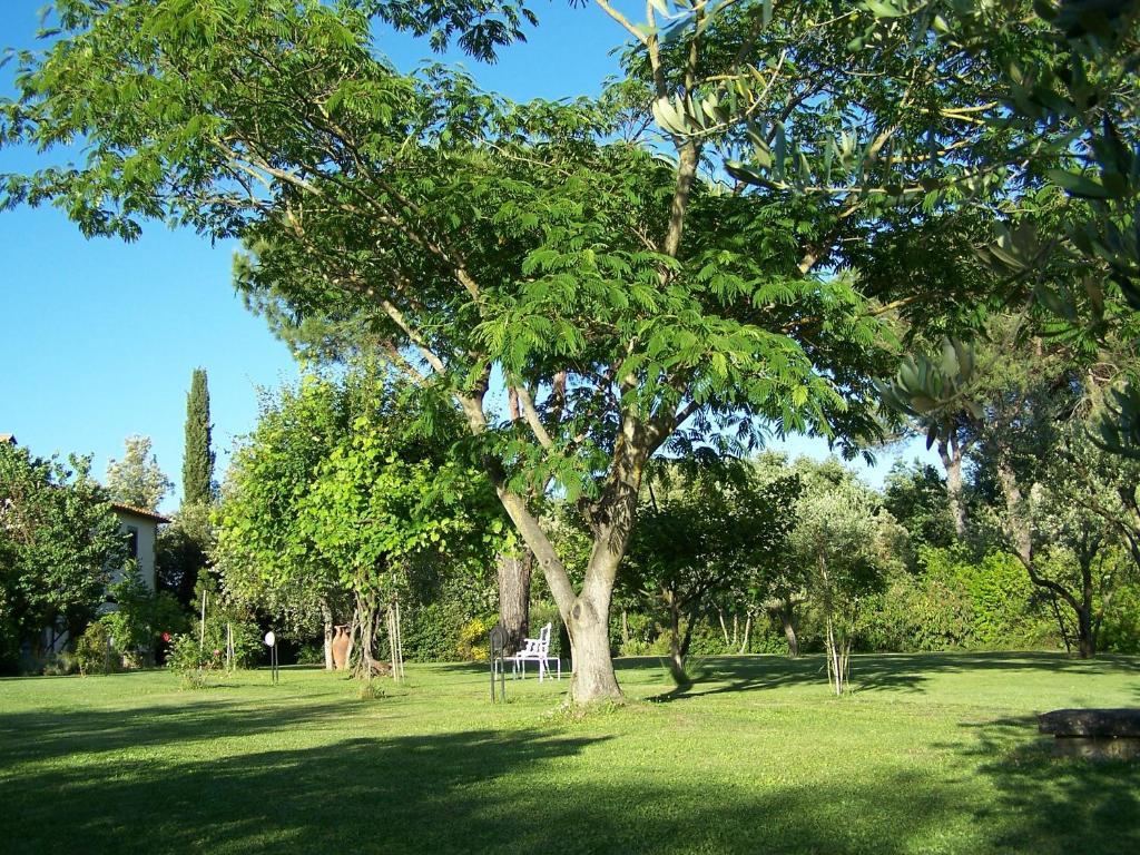 Ortali Country House Quarata Eksteriør bilde